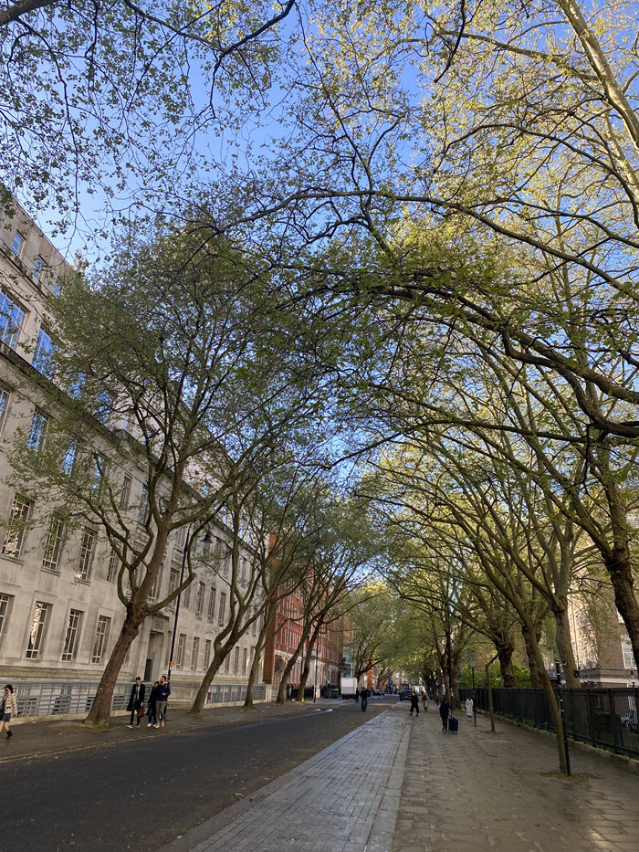 Malet Street in London in spring