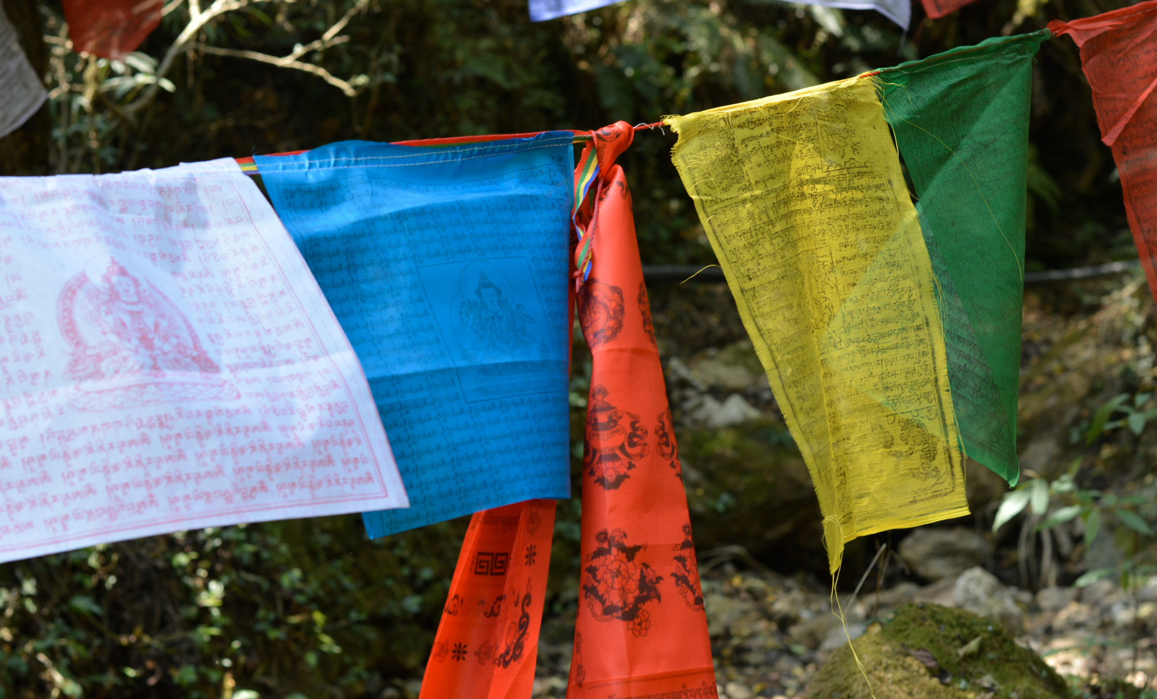prayer flags in the wind