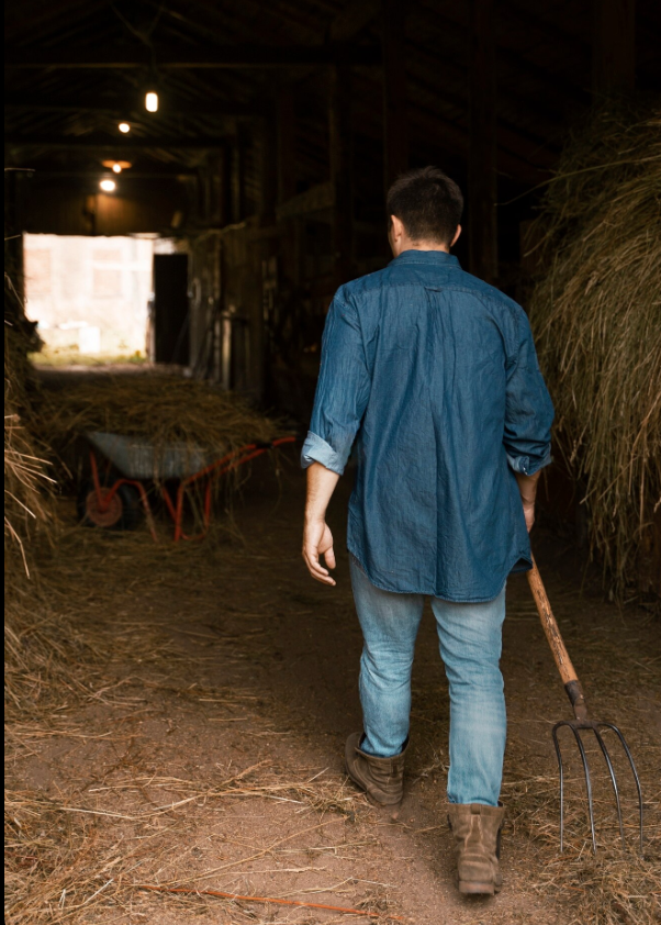 back of farmer carrying pitchfork working in barn