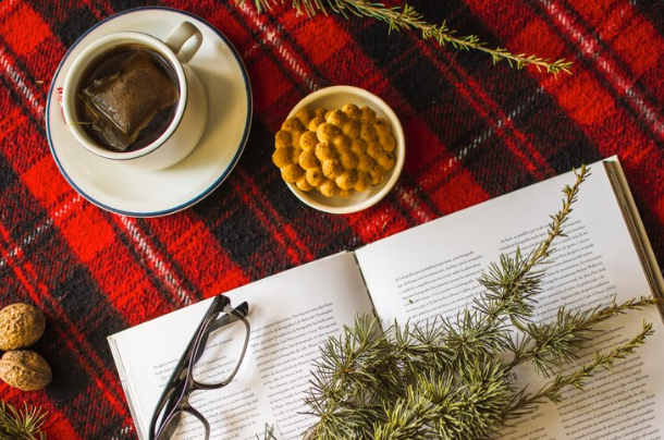 christmas branch, cookies and book