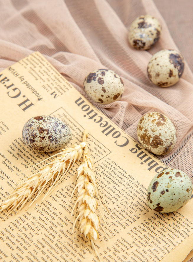 quails eggs and yellowed old newspapers on pink mesh