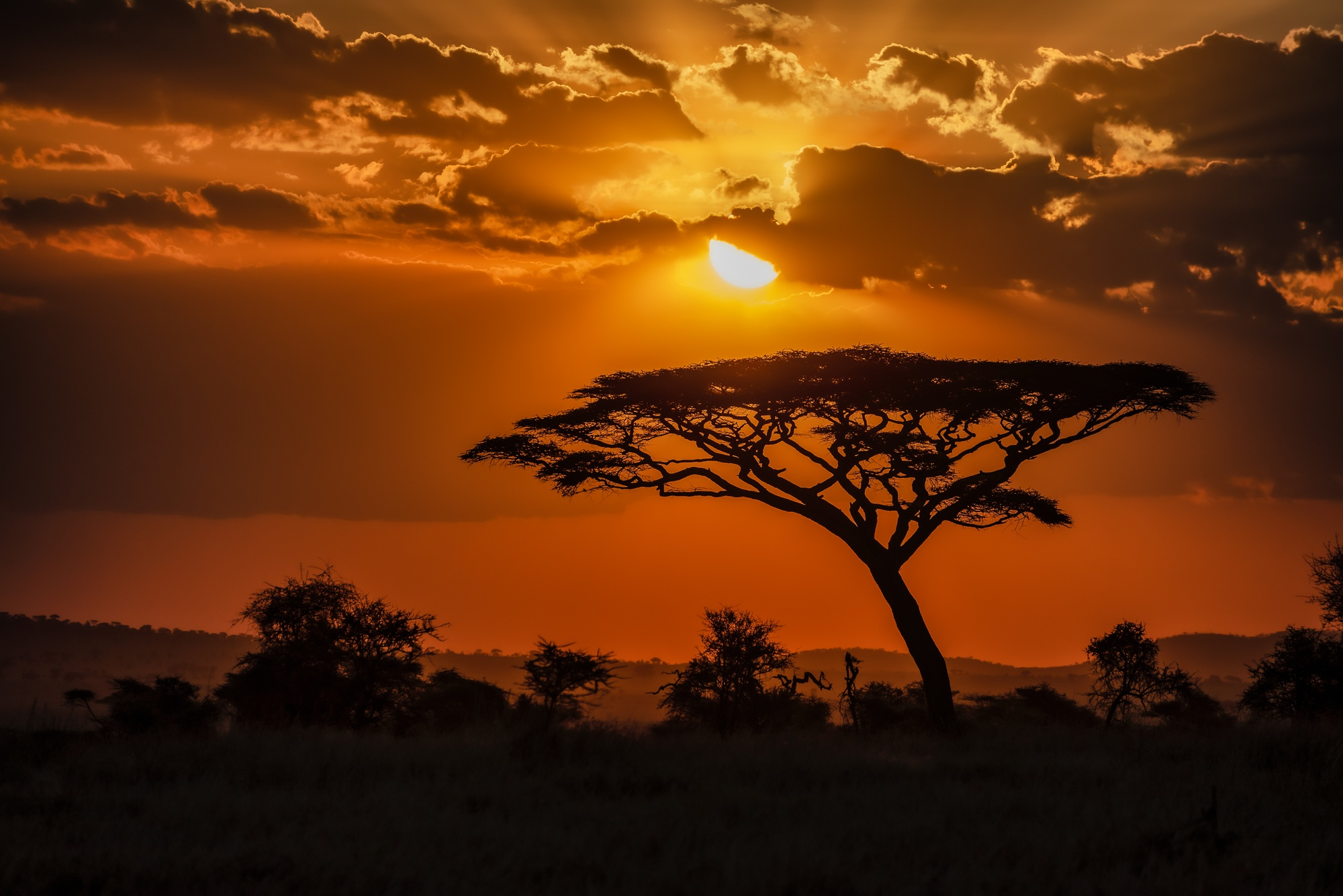 african landscape at sunrise