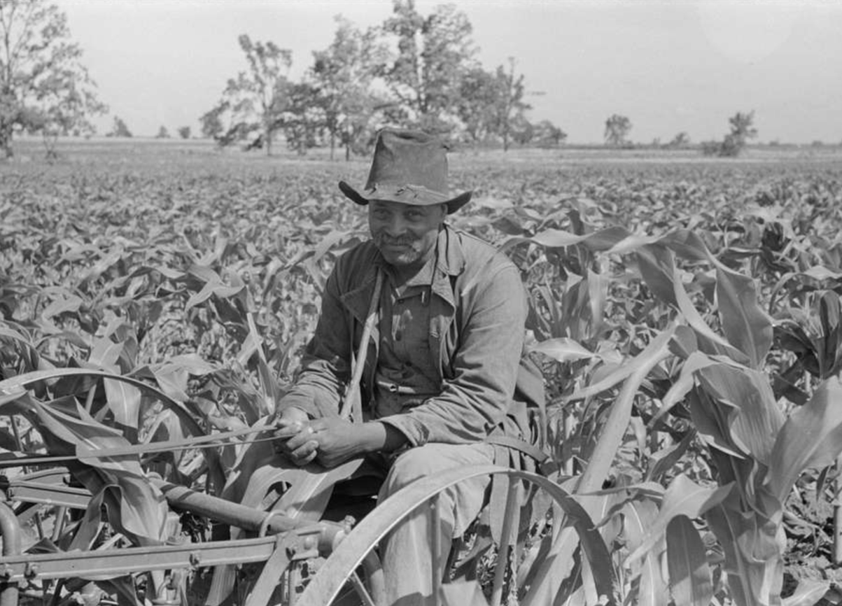 African American Farmer sits on a plough in his field