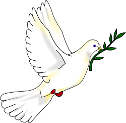 peace dove