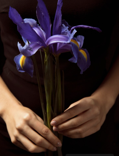 hands holding purple orchid